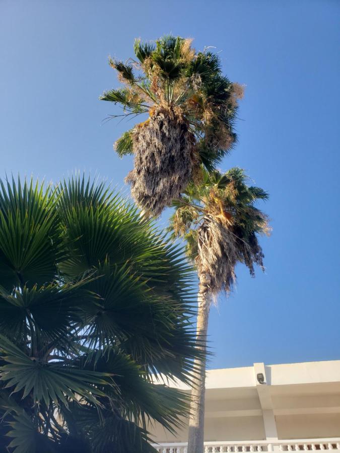 Bed and Breakfast Sea Shell Palms, Ocho Ríos Exterior foto