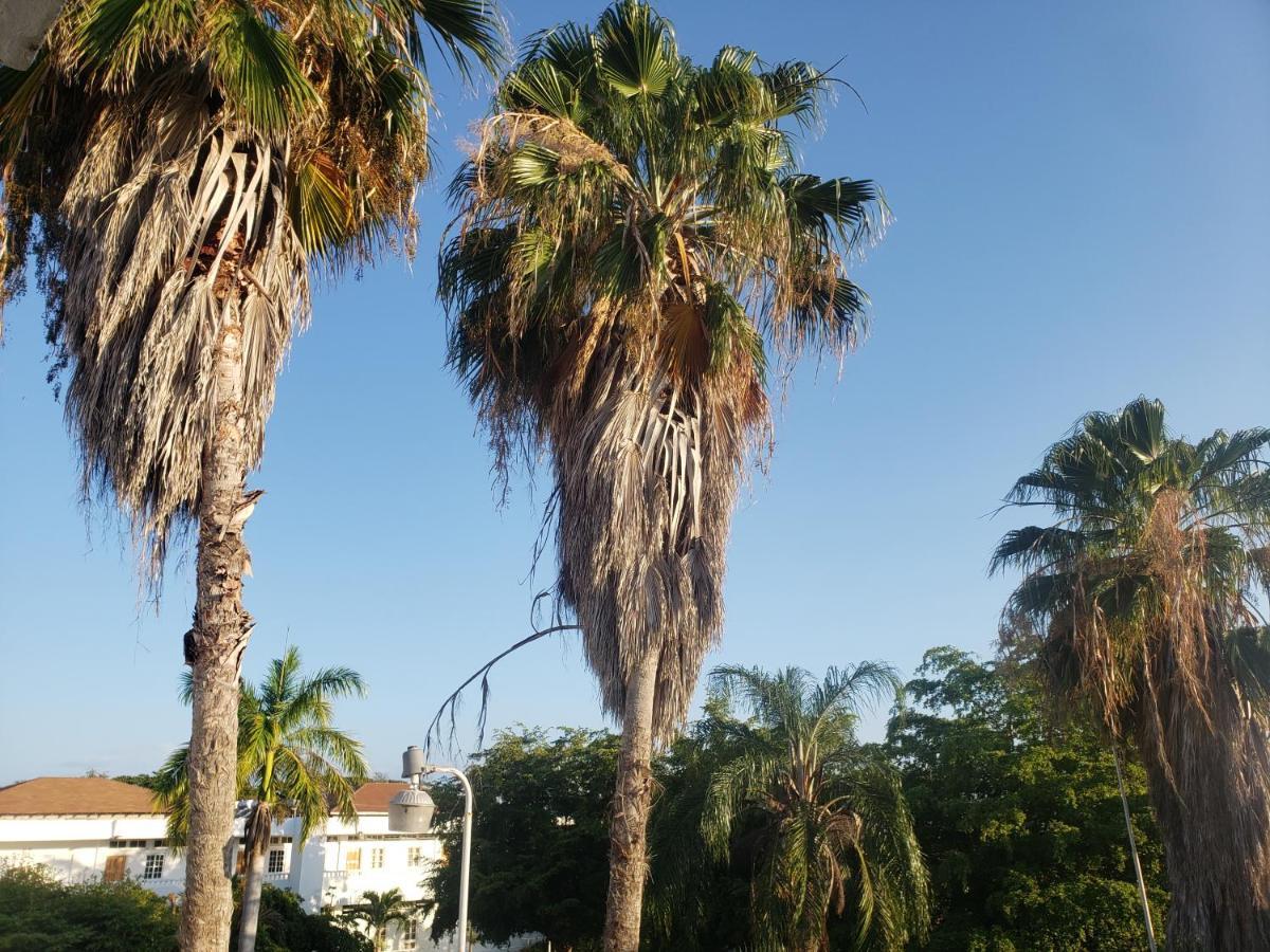 Bed and Breakfast Sea Shell Palms, Ocho Ríos Exterior foto