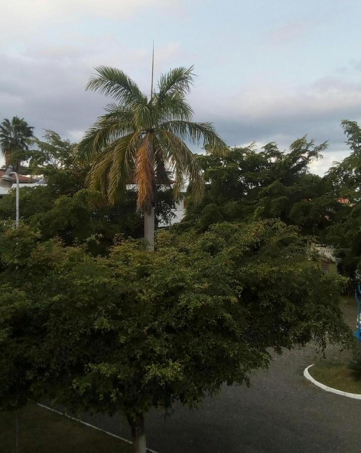 Bed and Breakfast Sea Shell Palms, Ocho Ríos Exterior foto